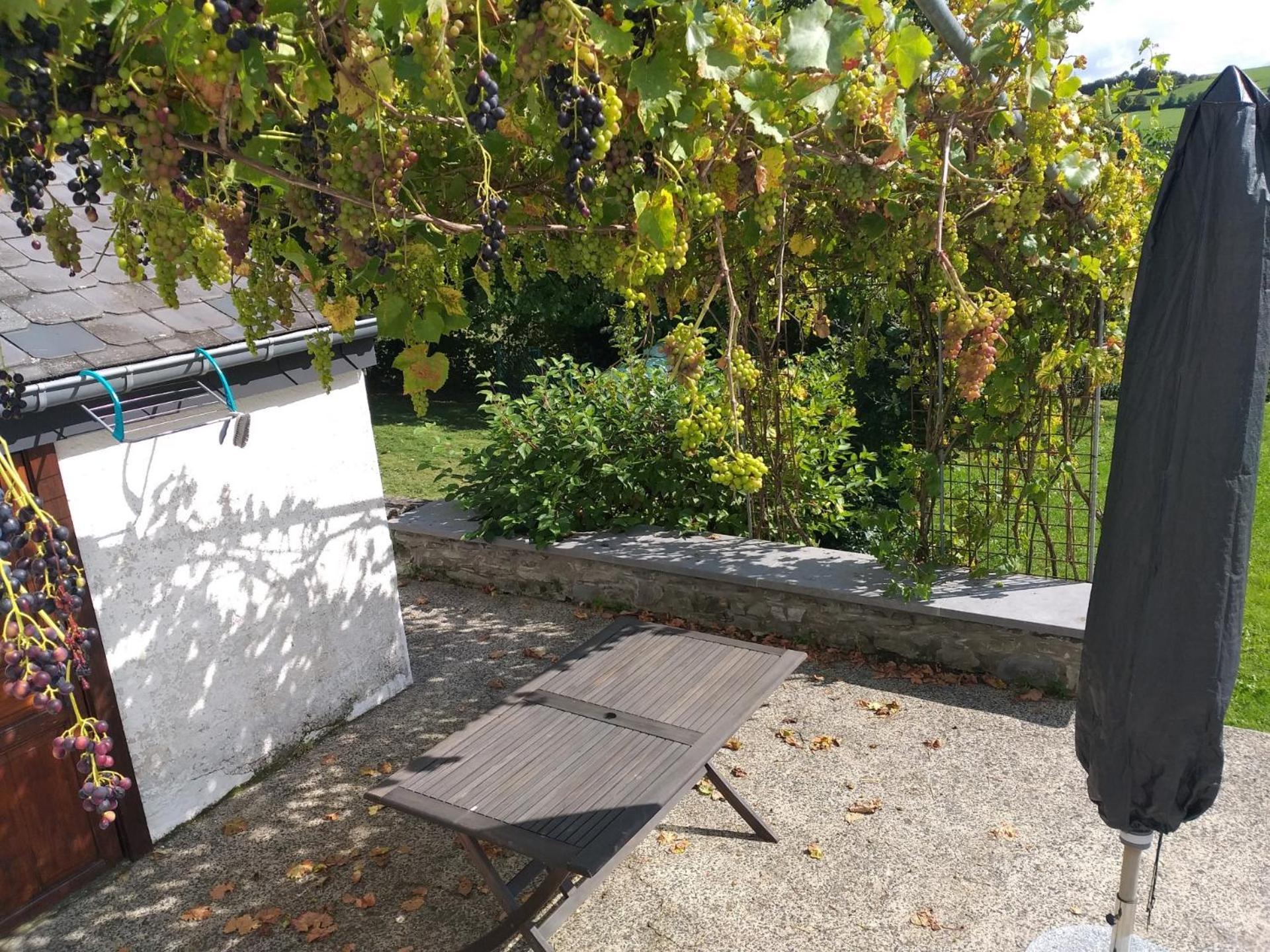 Gite L'Ecole De Ma Mere Villa Bertogne Eksteriør billede