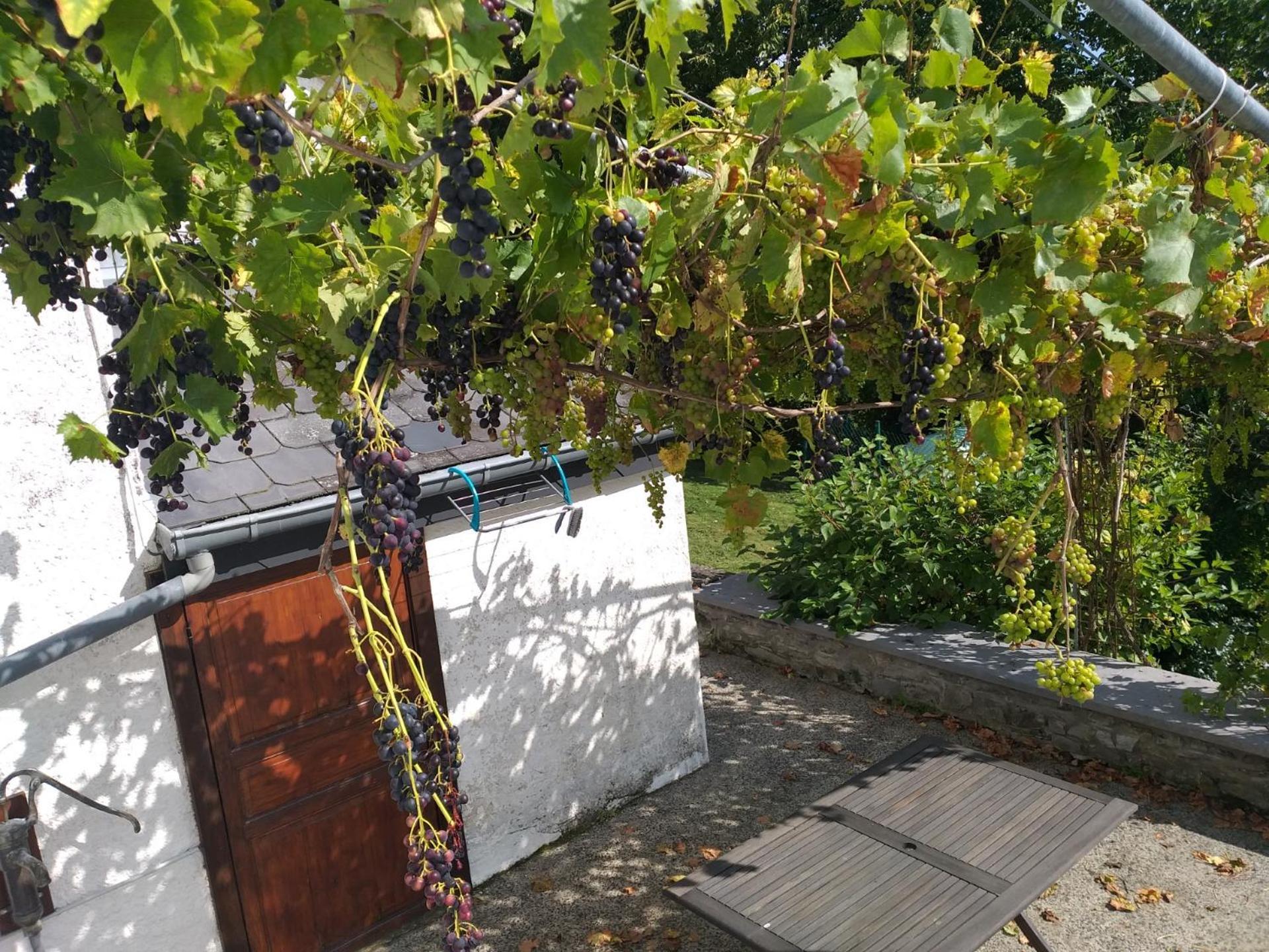 Gite L'Ecole De Ma Mere Villa Bertogne Eksteriør billede