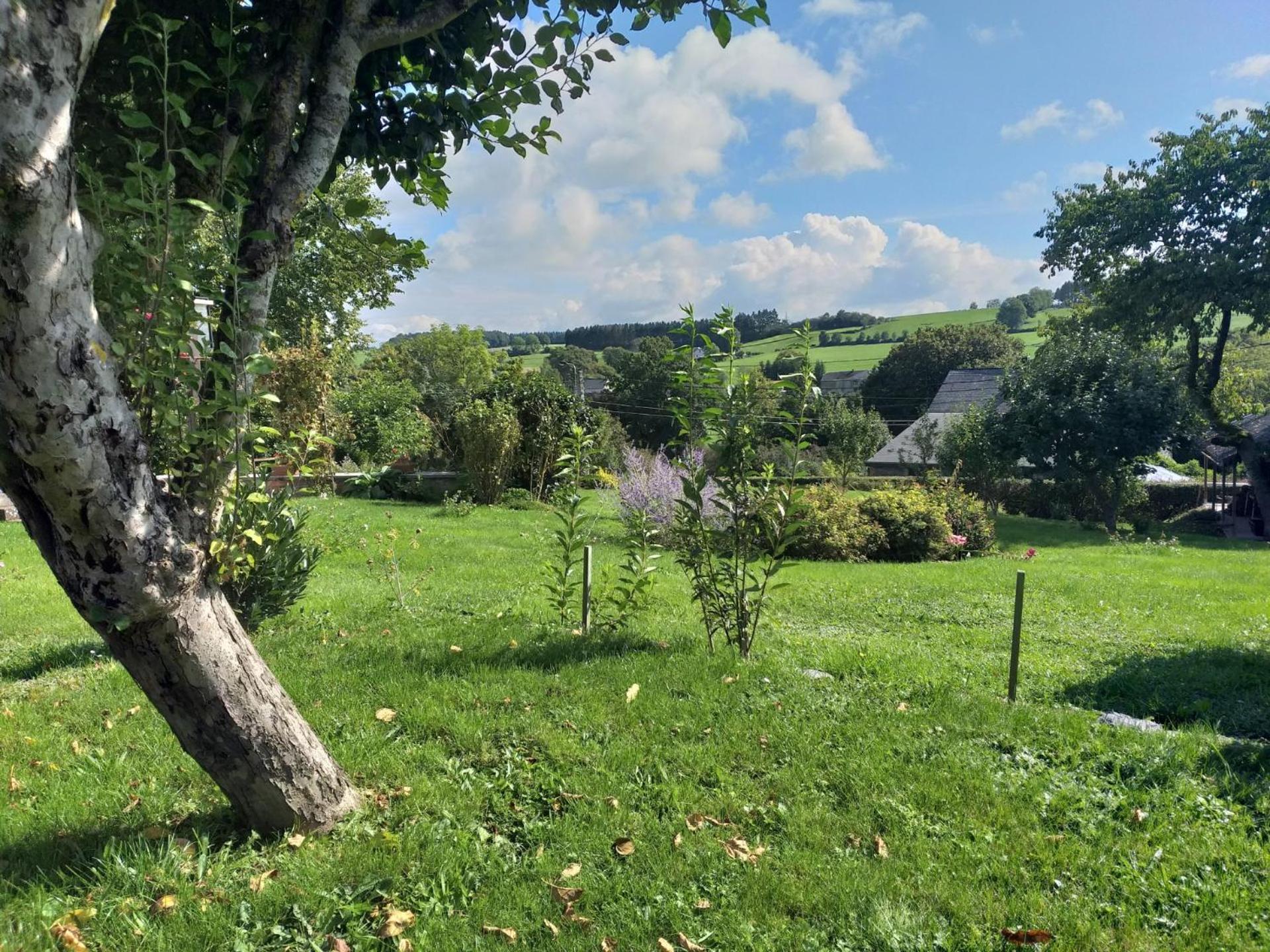 Gite L'Ecole De Ma Mere Villa Bertogne Eksteriør billede
